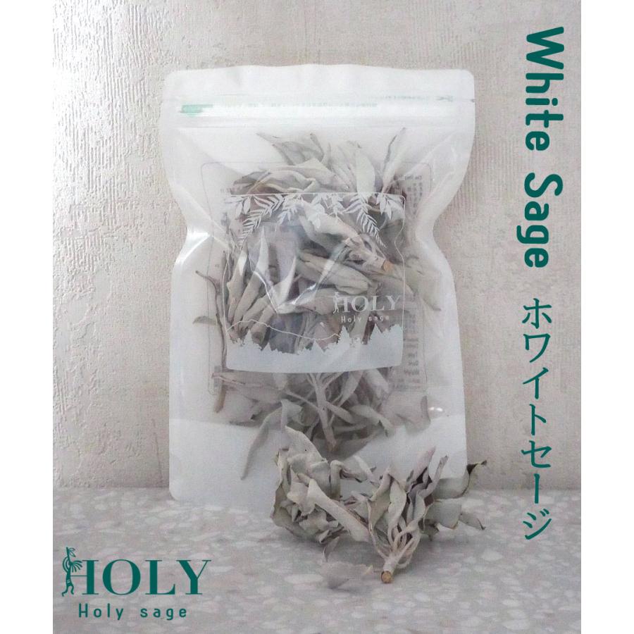 ☆新鮮な香りのセージを輸入☆【当日発送対応（休業日は除く】ホワイト