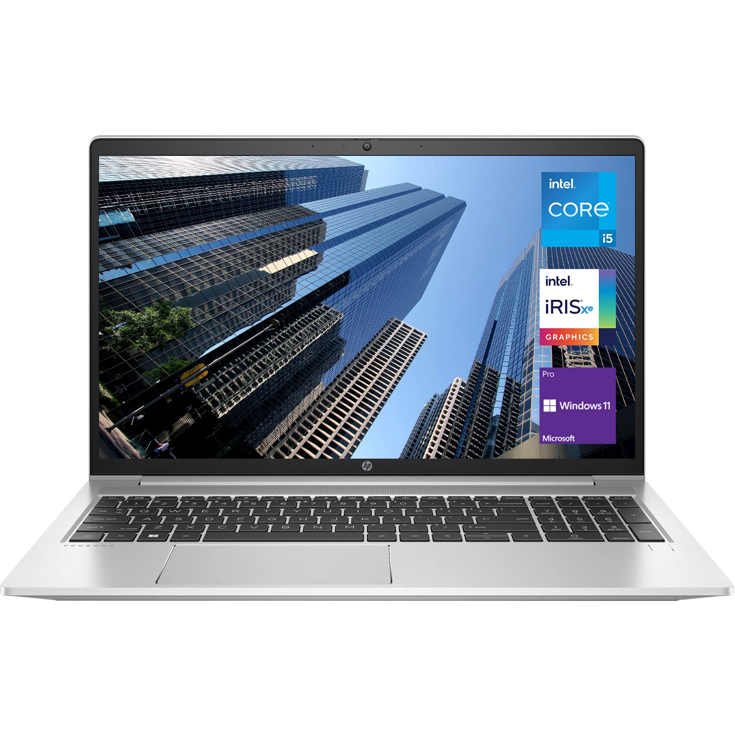 Amazon.com: HP ProBook 450 G8 Business Laptop, 15.6