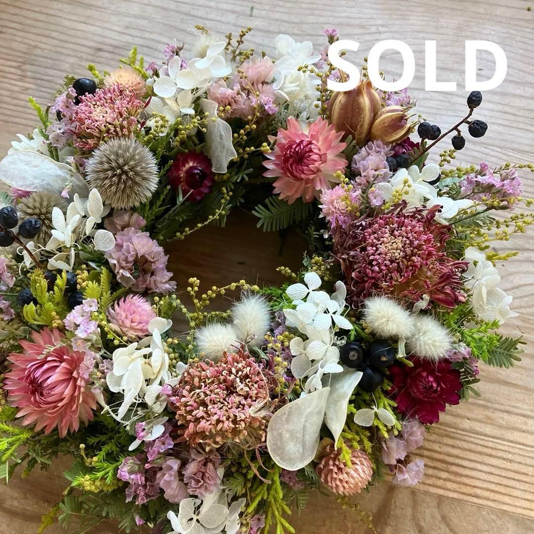 感謝価格！オーレアミモザの蕾とピンクのお花のリース　ひな祭り　春　紫陽花 母の日 ひな祭り(ルナ) 花鉢 アジサイ 鉢植え あじさい 2026年 希少